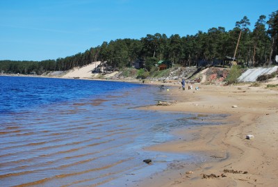 DSC_0242.JPG