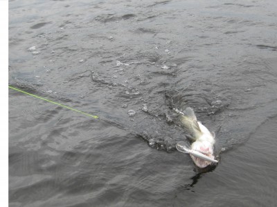 IMG_2996.jpg