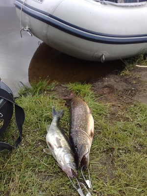 22062011212.jpg