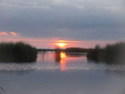 IMG_3141.jpg