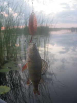 IMG_3144.jpg