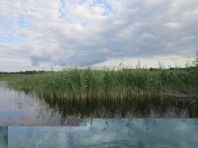 Красоты.