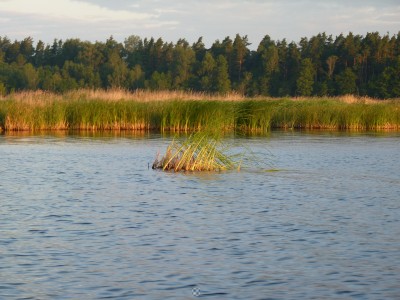 P1020565.JPG