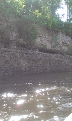 IMAG0040.jpg