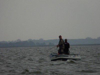 P12.JPG