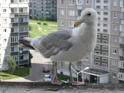 IMG_6591.JPG
