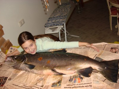 Losos 20kg.JPG