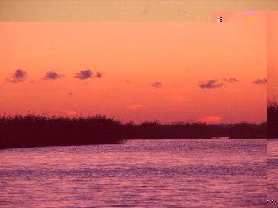 IMG_0004.JPG