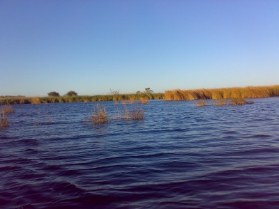 011020111350.jpg