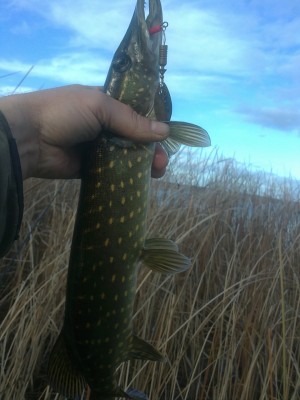 20102011005.JPG