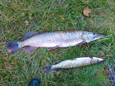 22102011045.jpg