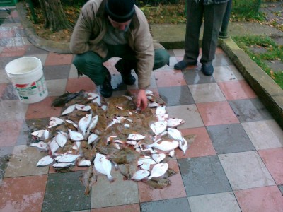 13112011061.jpg