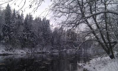 IMAG0098.jpg