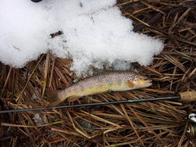 2012-03-10 13.17.47.jpg