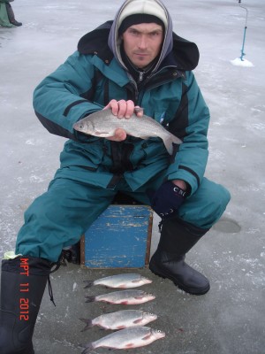 DSC07438_thumb.jpg