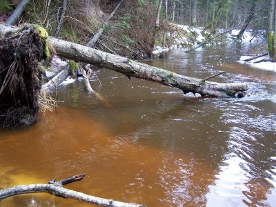 splavom.JPG