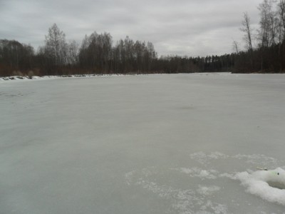 SAM_6740.JPG
