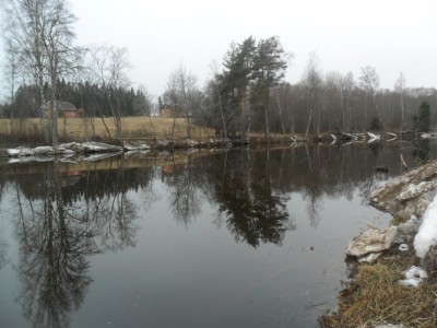 SAM_6856.JPG