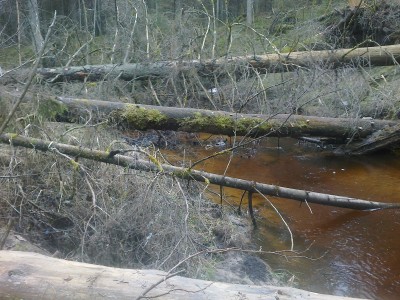 14042012608.jpg