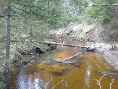 14042012610.jpg