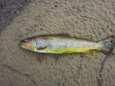2012-04-18 14.56.13.jpg