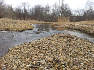2012-04-18 08.17.58.jpg