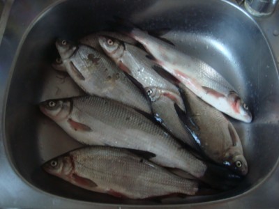 Рыбка