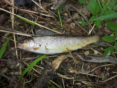 2012-04-28 11.57.36.jpg
