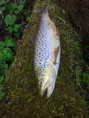 2012-04-29 08.06.43.jpg