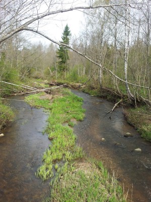 2012-04-29 12.11.39.jpg
