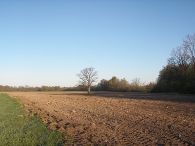 P5030001.JPG