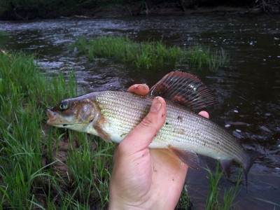 2012-05-13 13.50.07.jpg