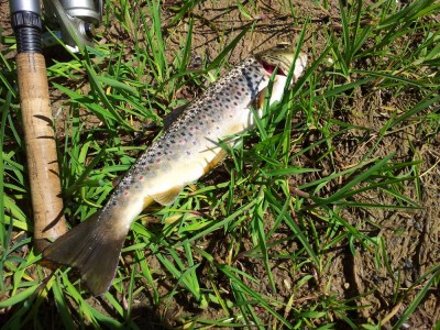 2012-05-20 12.29.48.jpg