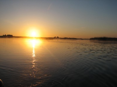 IMG_0003.JPG