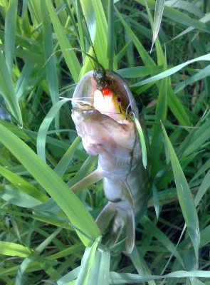 100620121545.jpg