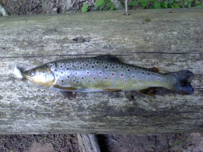 P020612_10.33.jpg