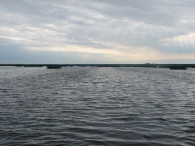 IMG_0002.JPG
