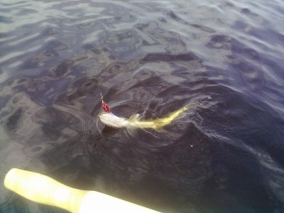 04072012099.jpg