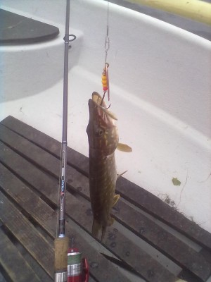 04072012102.jpg