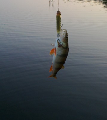 28072012026.jpg