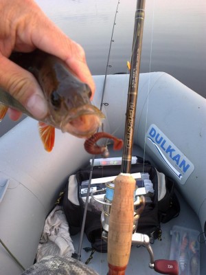 28072012025.jpg
