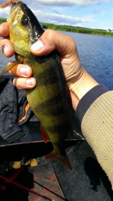 IMAG0011.jpg