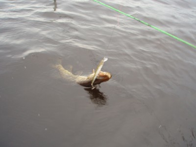 Babite 08.07.2012 010.JPG
