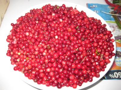 IMG_6688.JPG