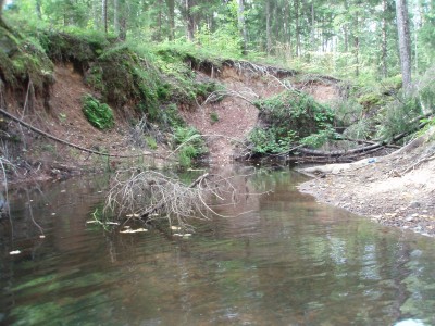 Trout 14.09.12 010.JPG
