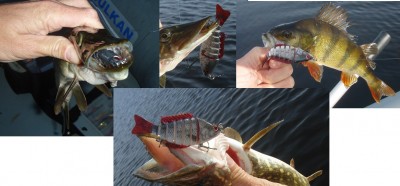 AGAT Perch X-76.jpg