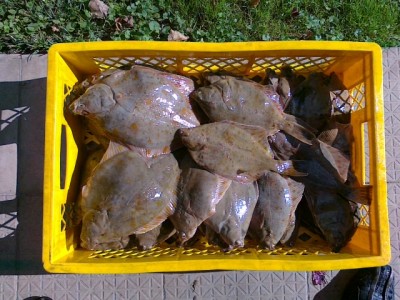 2309201202.jpg