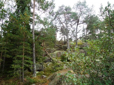 DSC03707.JPG