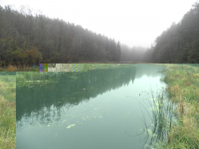 PA220047.JPG