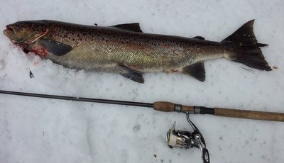 20130207_143036.jpg